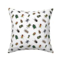 Beetle Fabric 