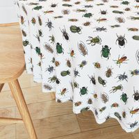 Beetle Fabric 