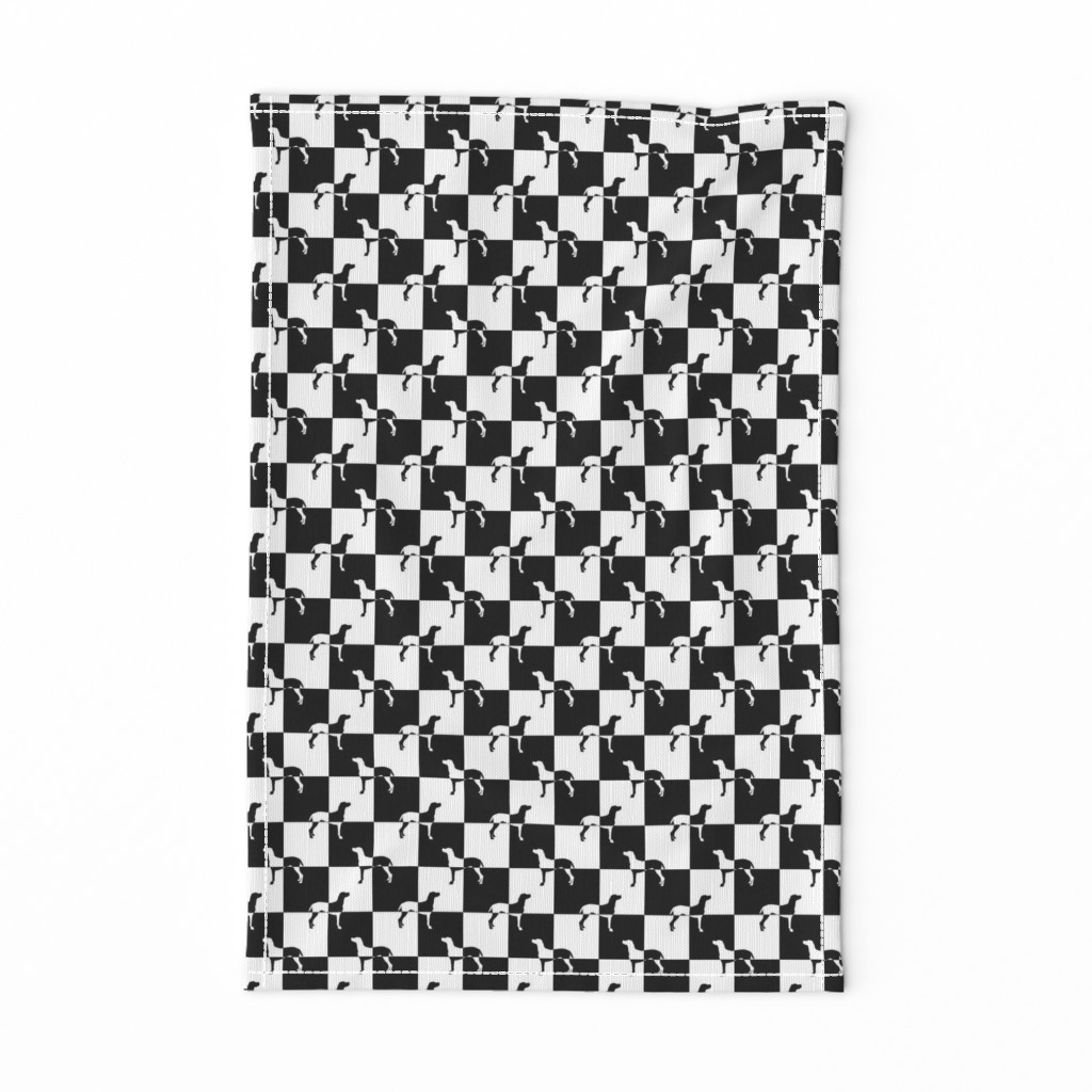 Black and White Weimaraners on Checkerboard