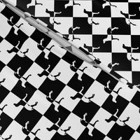 Black and White Weimaraners on Checkerboard