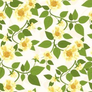 Yellow Roses Pattern