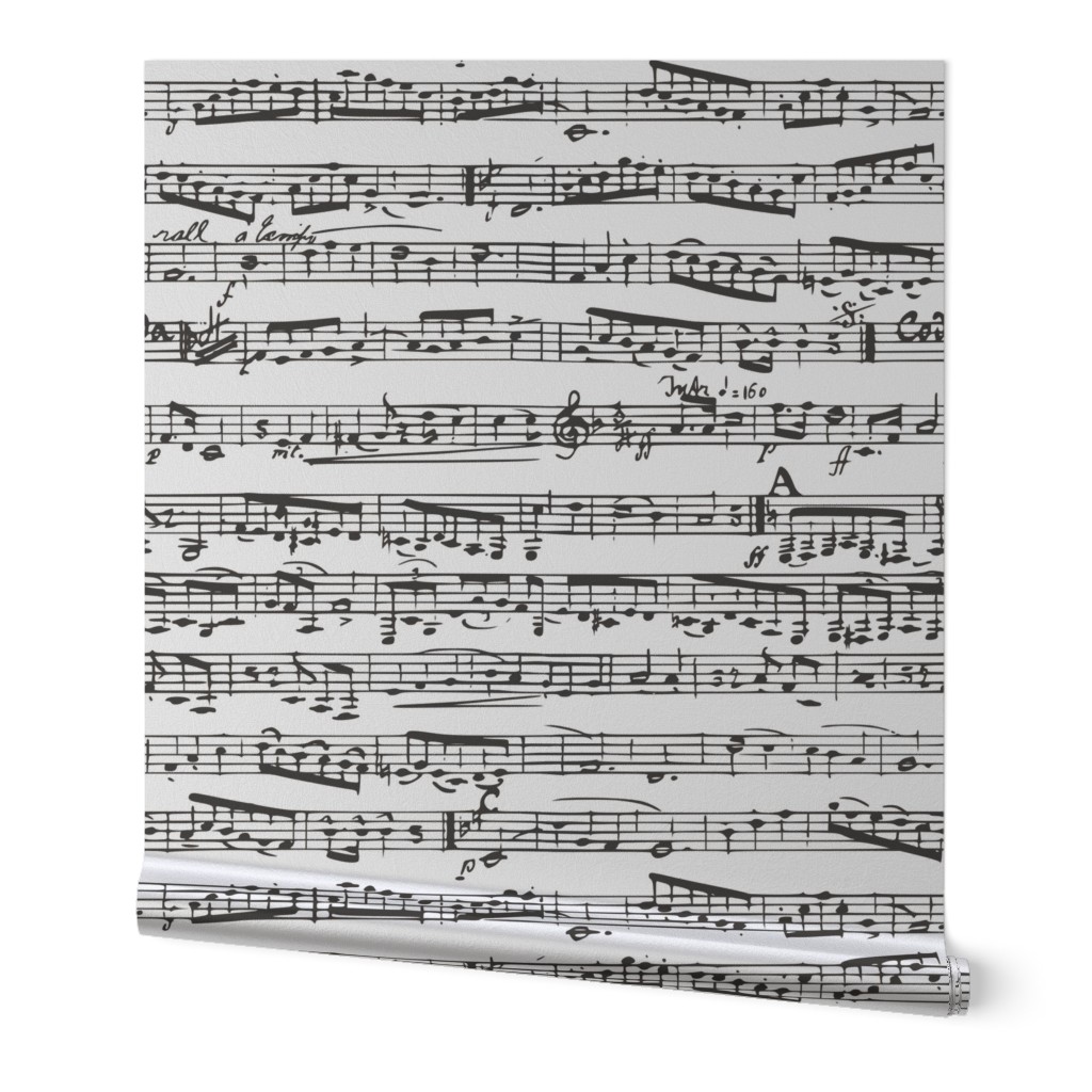 Black and white Music Notes  - LARGE