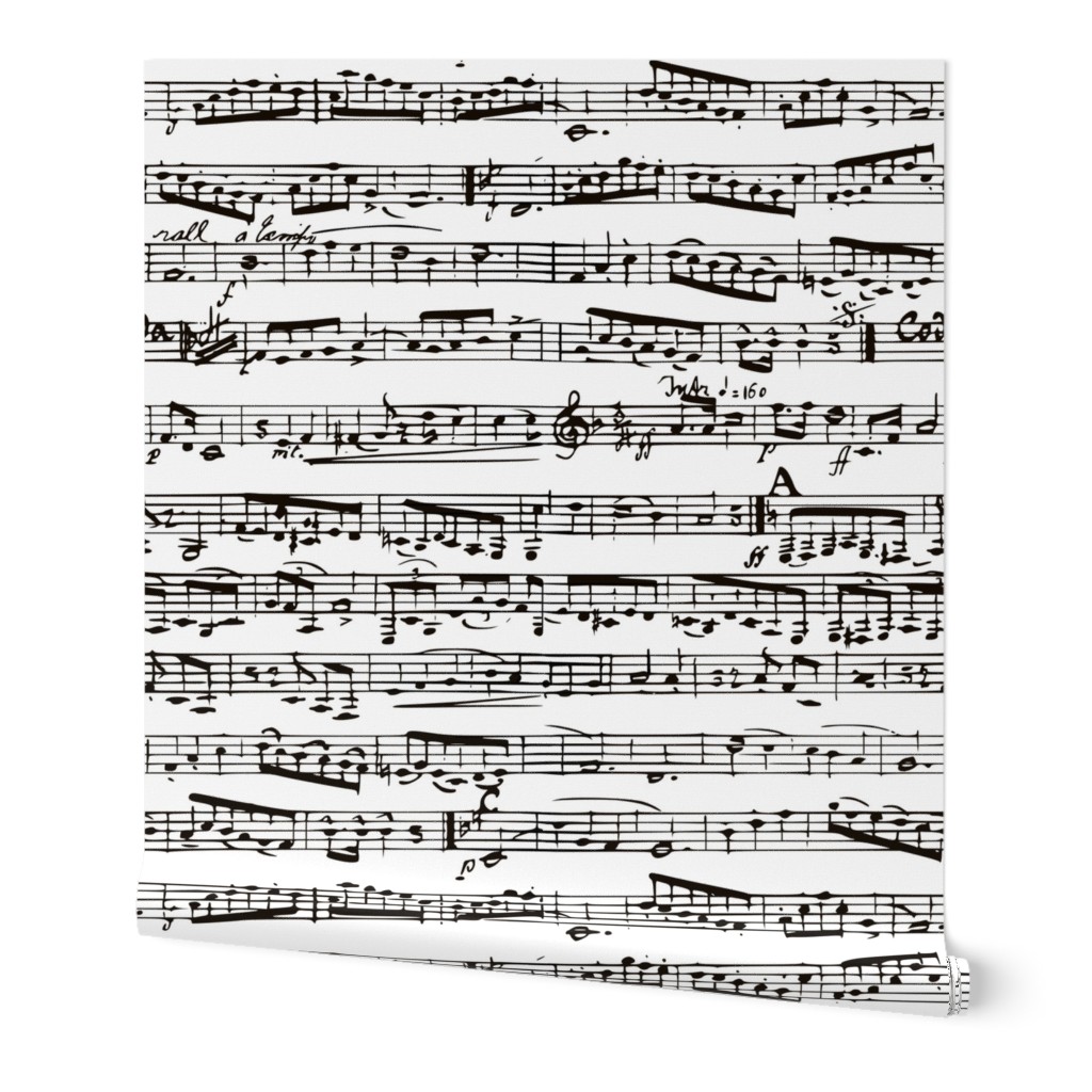 Black and white Music Notes  - LARGE