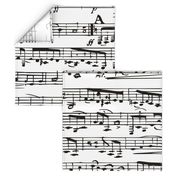 Black and white Music Notes  - LARGE