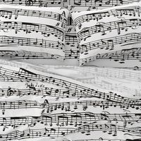 Black and white Music Notes  - LARGE