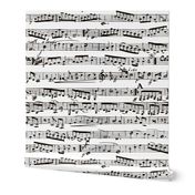 Black and white Music Notes  - LARGE