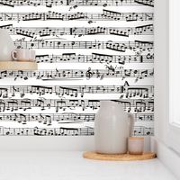 Black and white Music Notes  - LARGE