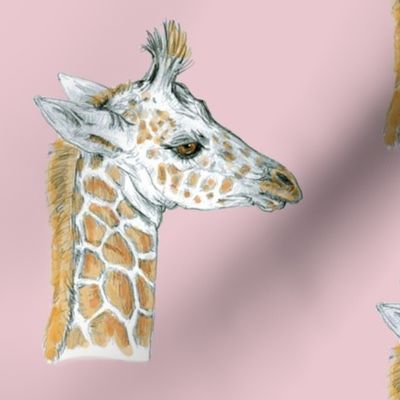 Custom Baby Giraffe for Minky half drop Pink