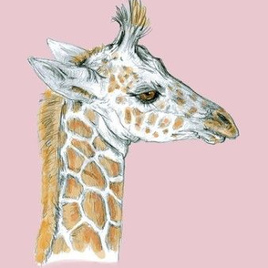 Custom Baby Giraffe for Minky half drop Pink