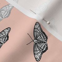 black and gray butterflies on peach