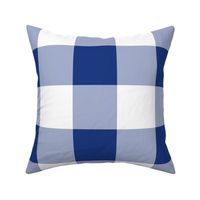 Willow Ware Blue and White Gingham with Savoy Blue