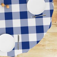 Willow Ware Blue and White Gingham with Savoy Blue