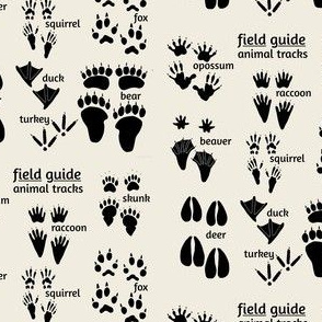 Woodland animal tracks