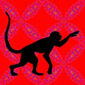 The Year of The Monkey - Connecting 