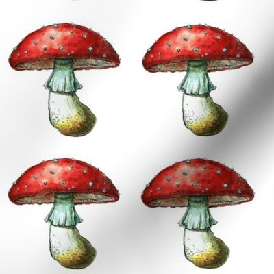 Watercolor toadstool