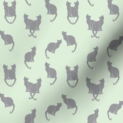 gray cats on cucumber