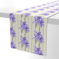 Waxlip Orchid Stripe