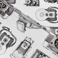 Vintage Camera Collection