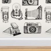 Vintage Camera Collection