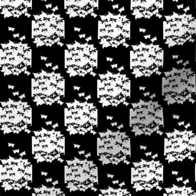 butterfly checkerboard black and white