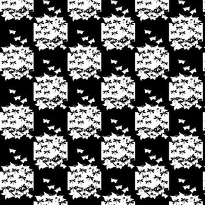 butterfly checkerboard black and white