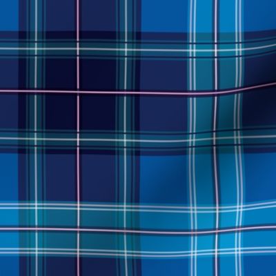 Winter Midnight tartan