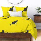 Yellow & Cats