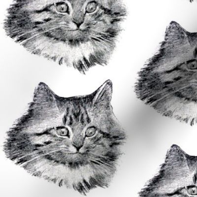 vintage retro kitsch whimsical black cats kittens monochrome black white heads faces Maine Coon 