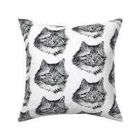 vintage retro kitsch whimsical black cats kittens monochrome black white heads faces Maine Coon 