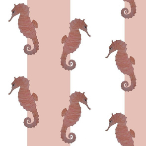 Seahorses on Blush