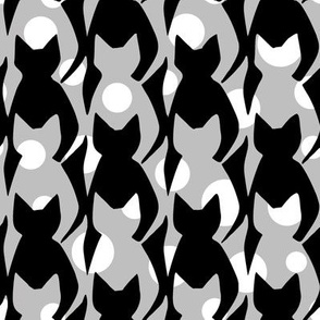 Black White and Gray Polka dot Cats