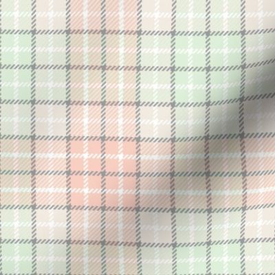 05024141 : tartan : spoonflower0341