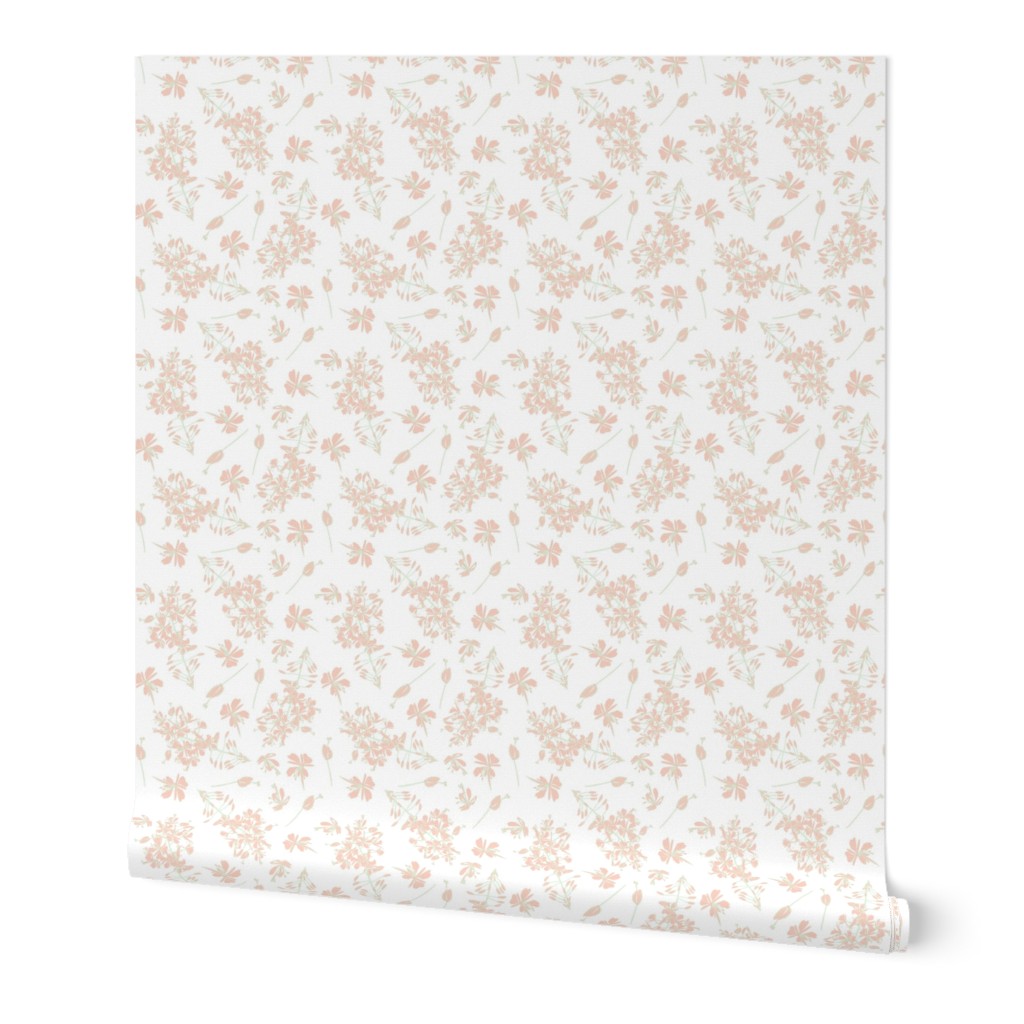 peach flowers on white