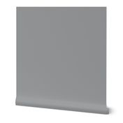 Solid Grey (#9A9B9D)