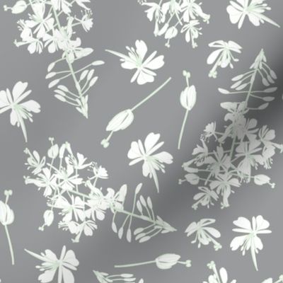 white flowers on gray