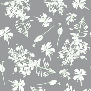 white flowers on gray