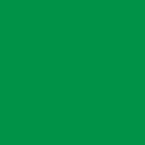 Solid Italy Flag Fern Green (#009246)