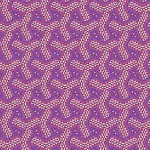 Berry Colored Maze