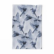Sparrow Flight blue - large