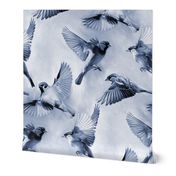 Sparrow Flight blue - small