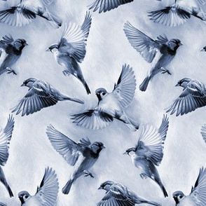 Sparrow Flight blue - small