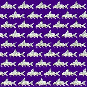 Angel Squeaker Upside-down Catfish negative purple