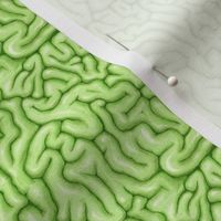 Tiny Green Brains