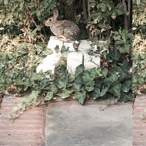 Front_Door_Guard_Bunny