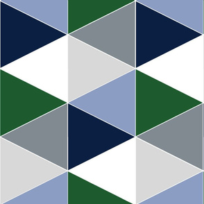 COOL BOY TRIANGLE QUILT