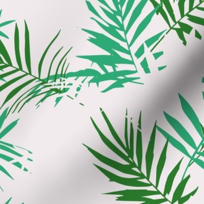 palm_jungle