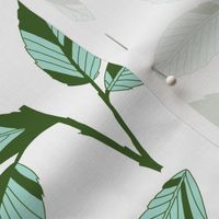 jungle_leaf_mint
