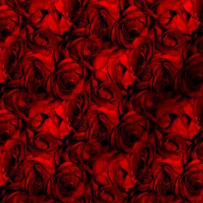 Blood Roses, Blood Roses ~ Medium 