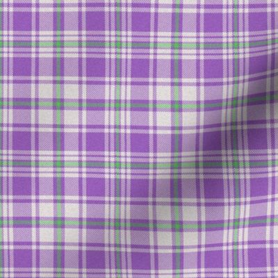 Purple and Green Plaid