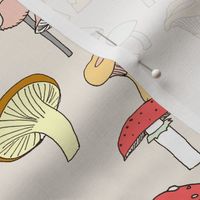 Hand drawn mushrooms in color